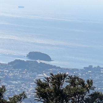 竹島見えた🏝️