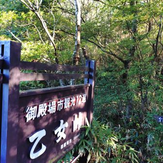 乙女峠
乙女峠駐車場から登ってくる人がけっこういた
去年はベタ曇で何も見えなかったが…