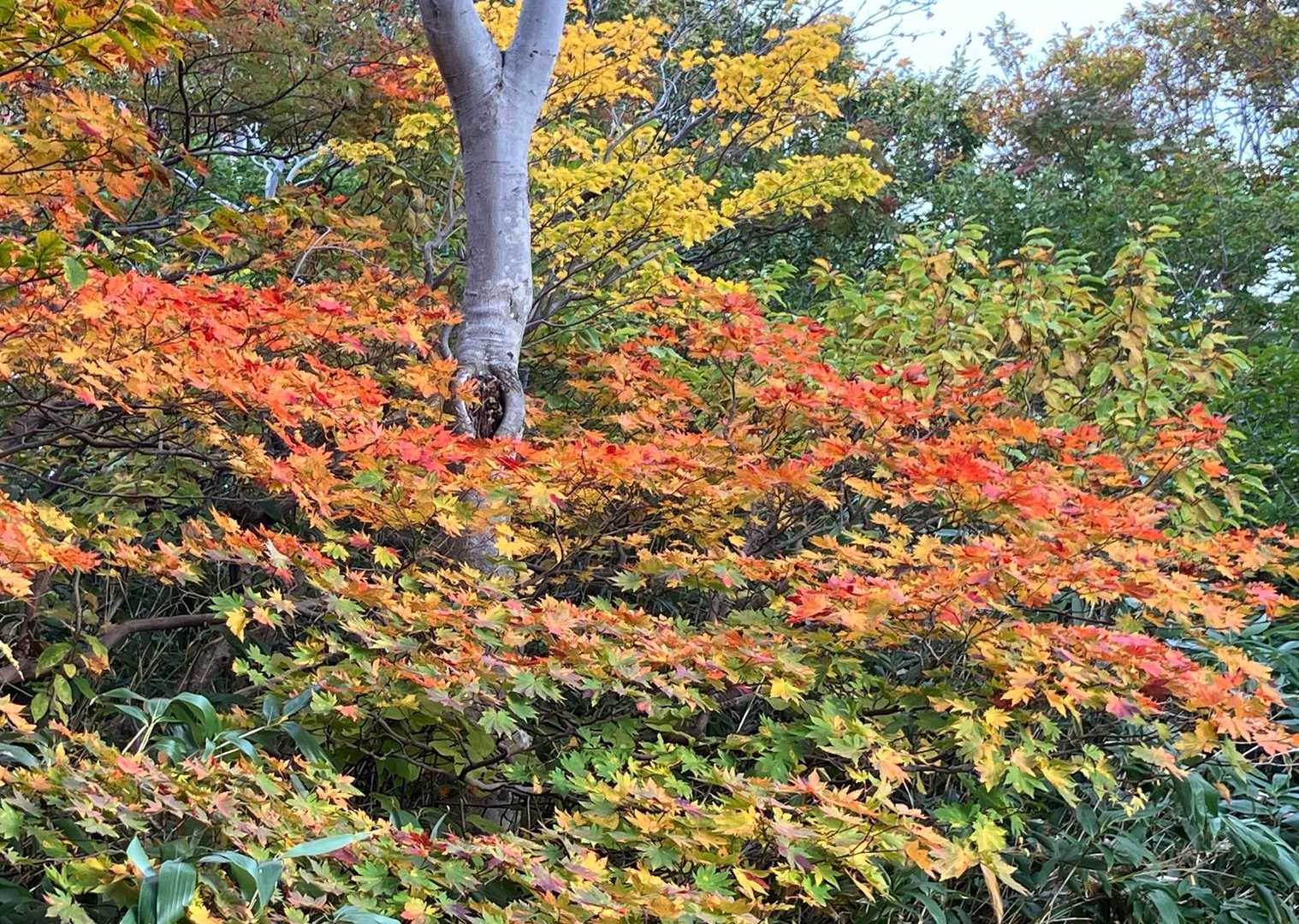 おつかれ山でした