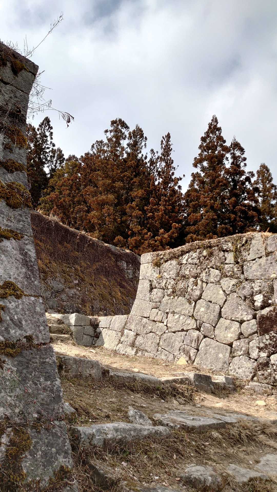 城山の写真