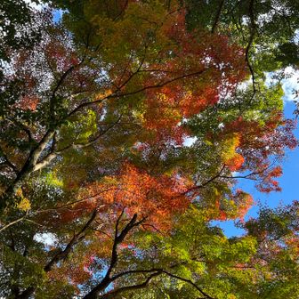 こちらは、点描画みたいな写真になりました🤭