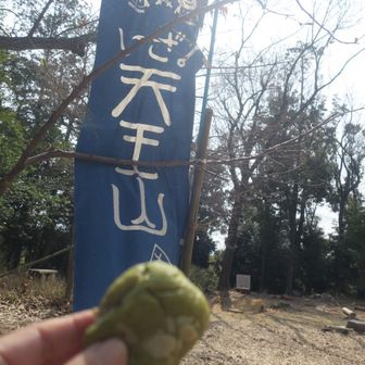 おやつタイム　餡入りよもぎパン