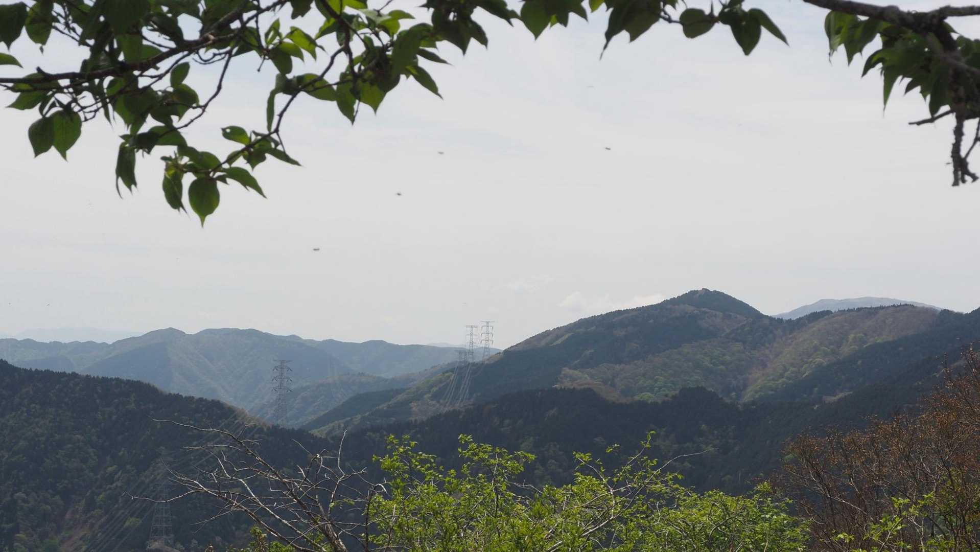 霊仙山、伊吹山が奥にのぞく