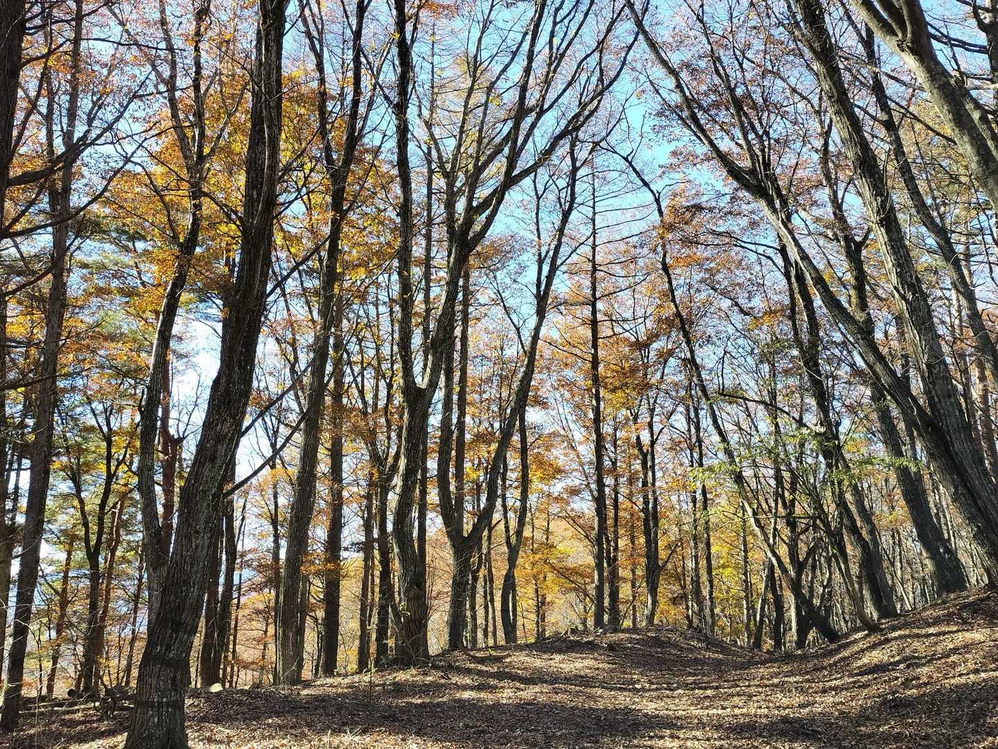 なだらか😊