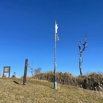 高い旗が立っていました🚩