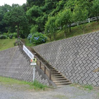 広い月見の森P
今日はそこそこ止まってる車がありました

今日は眠っていたカメラを携えて
Nikon JI ミラーレス一眼です
