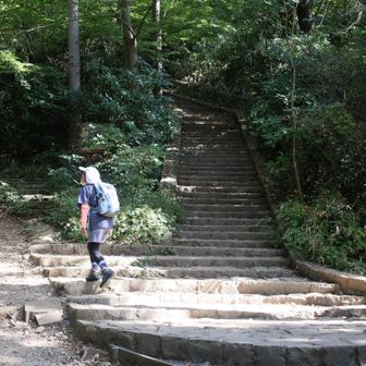 石段登って高尾山山頂へ