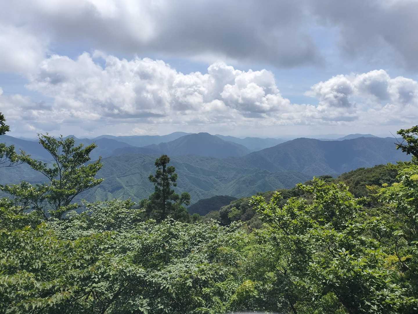山頂からの景色✨
小五郎山　羅漢山

展望所の方が見晴らしいいです💚