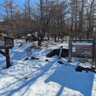 登山口には登山届ポスト、浅間山噴火警戒レベル看板があります
現在、前掛山は登れません
行きは表コース、帰りは中コースにしました