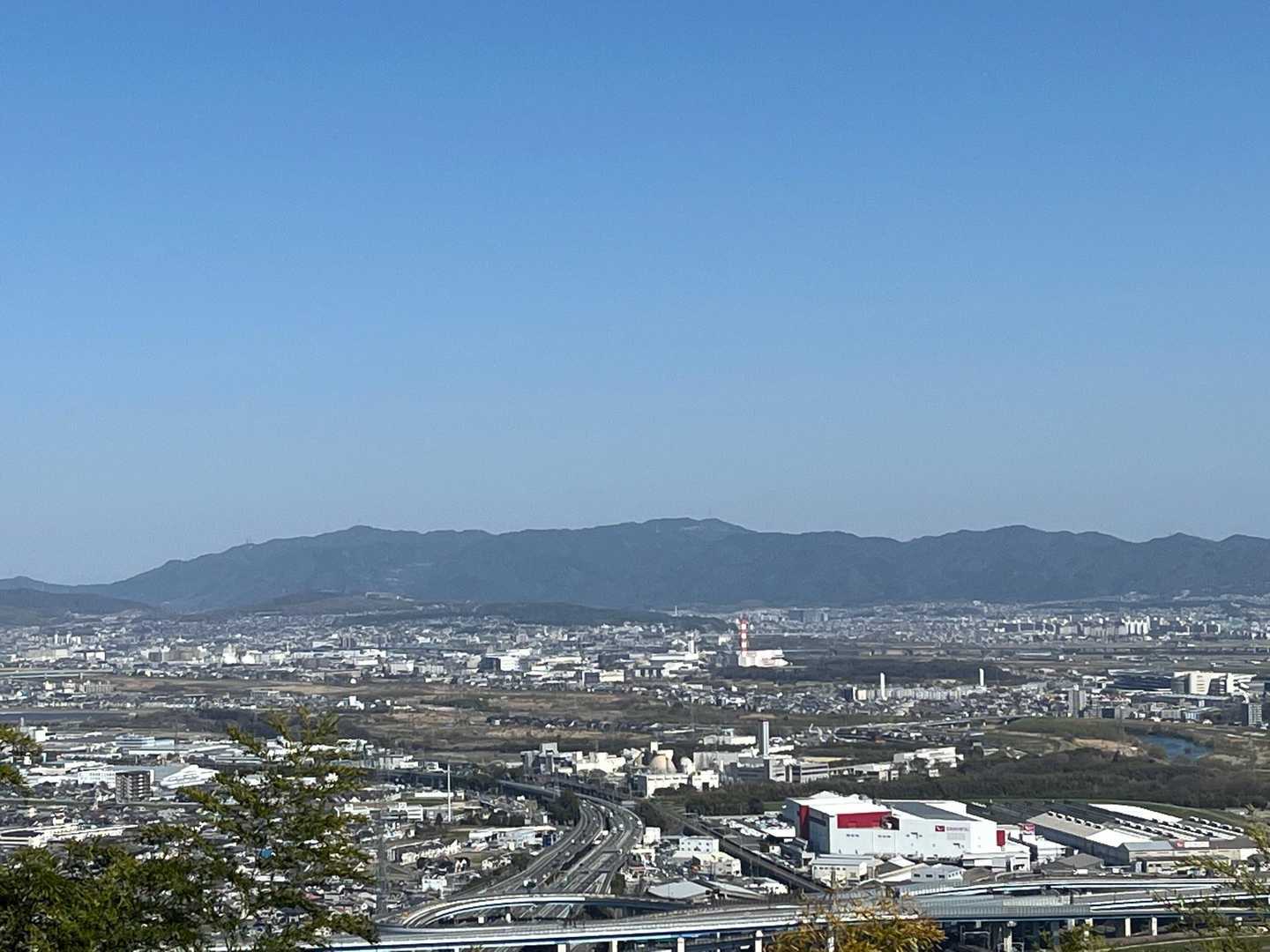 展望台から見える景色