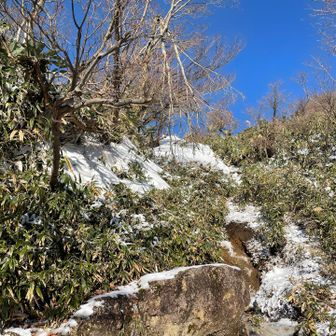 今シーズン初雪ですわ
登山口のとこ