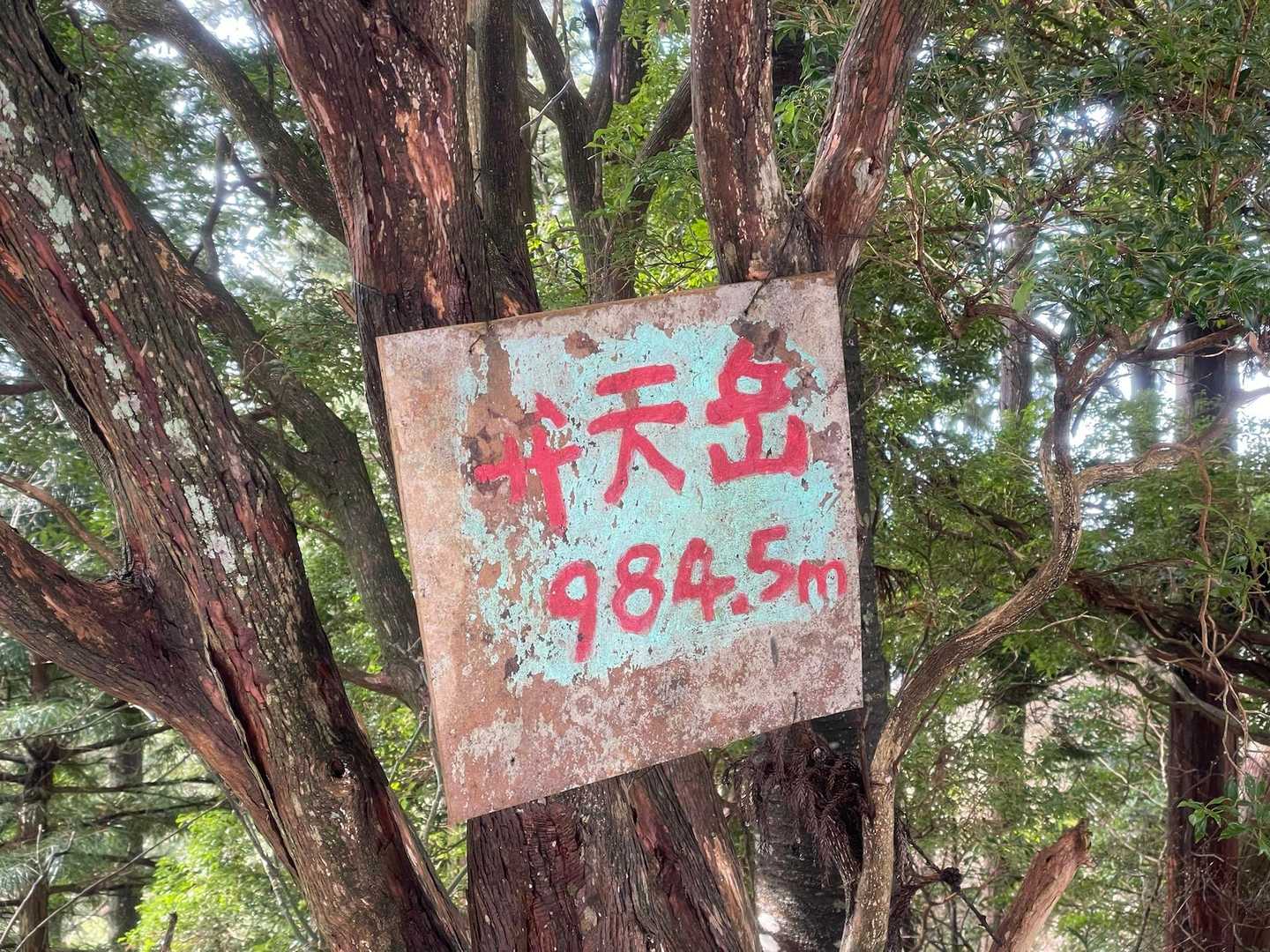 女人道巡り・高野三山巡り①の写真
