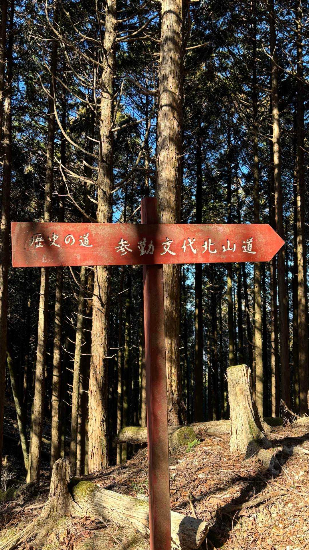 なるほど北山道が続いてる