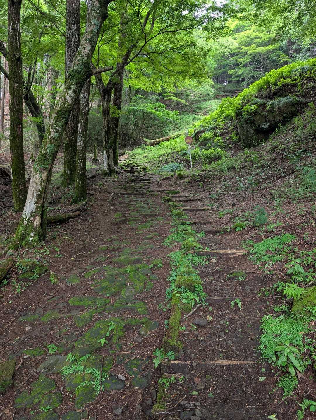 趣のあるいい道が続きます。
