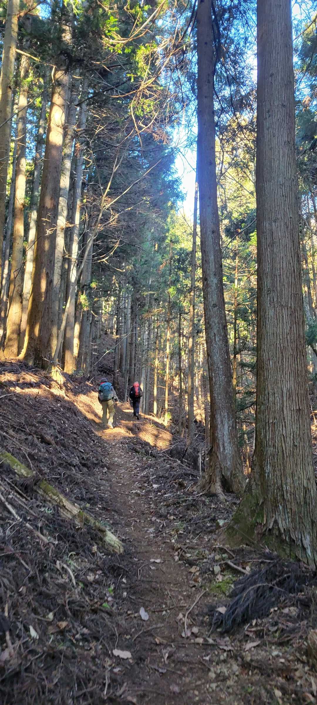 歩きやすいトラバース道へ