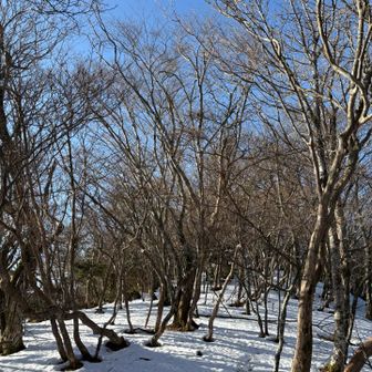 雪は15cm程度❄️
風もなく歩いてて気持ち良い😊🎶