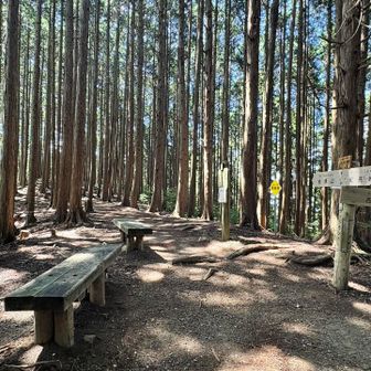 岩湧山東峰⛰️
帰りはここから『きゅうざかの道』で下山します✨