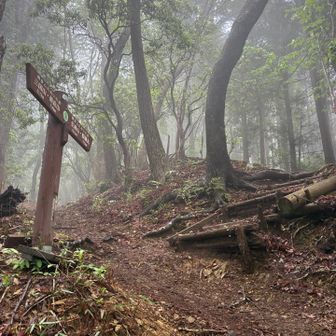 ここを右に行くと生藤山。まっすぐ行って通りすぎてしまったというわけでした。