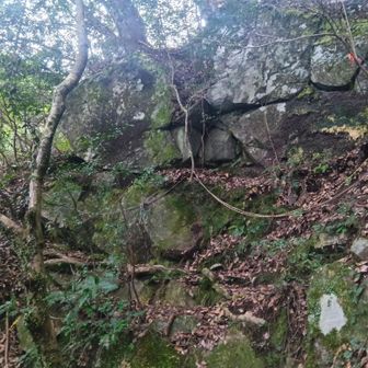 坊主ヶ滝への直降りルートは落葉多く、ルート危険な箇所も有り、分かりにくい。要注意ルート
