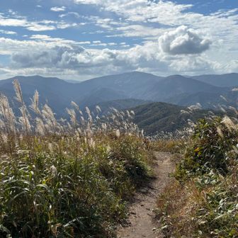 十方山、恐羅漢山、砥石郷山など