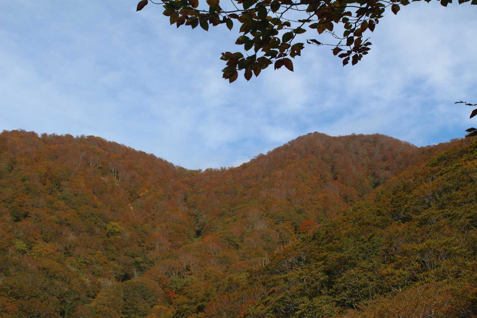 稜線部は赤く色づいていいる