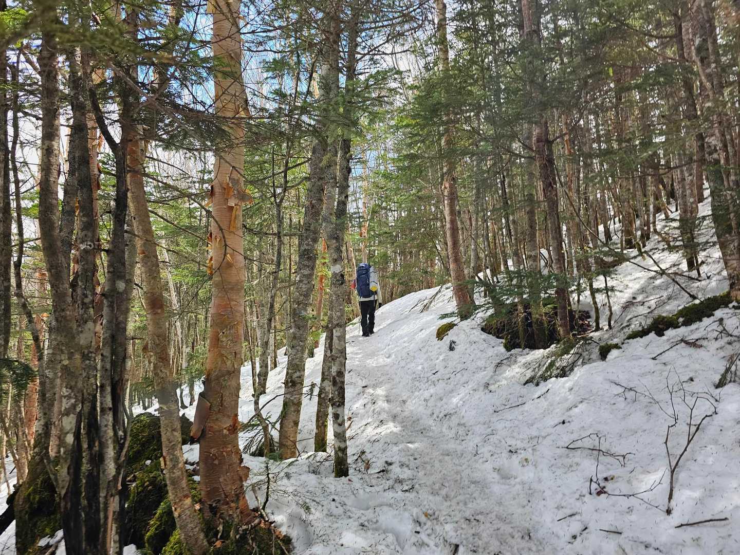 重いテント泊装備と歩きにくい雪道で腰が痛くなっても頑張ってくれました。