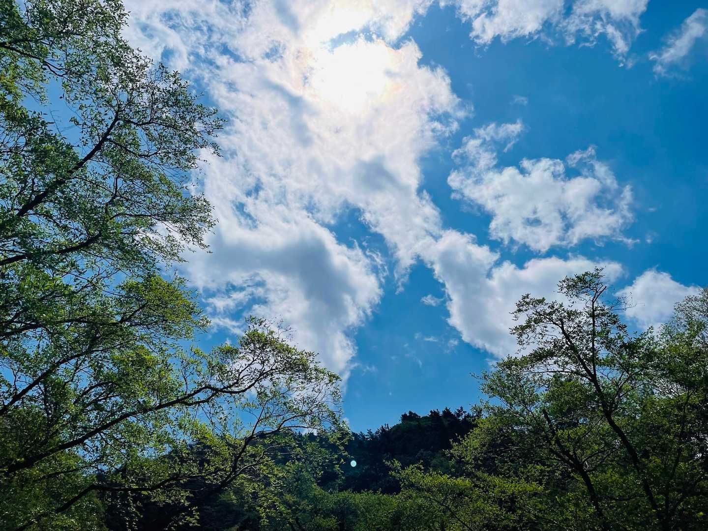 ハライド 往復コースの写真