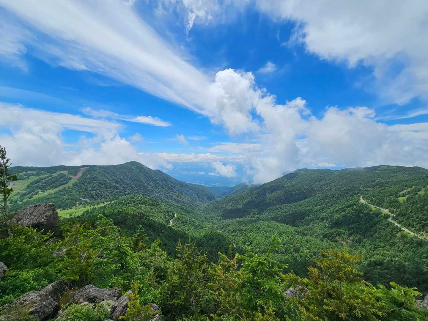 高峰温泉バス停-水ノ塔山-篭ノ登山-池ノ平湿原入口 周回コースの写真