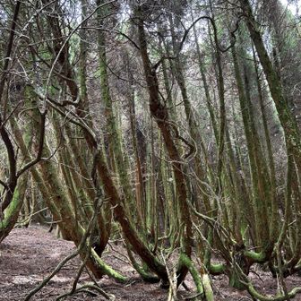 なかなか写真では表現できません😓