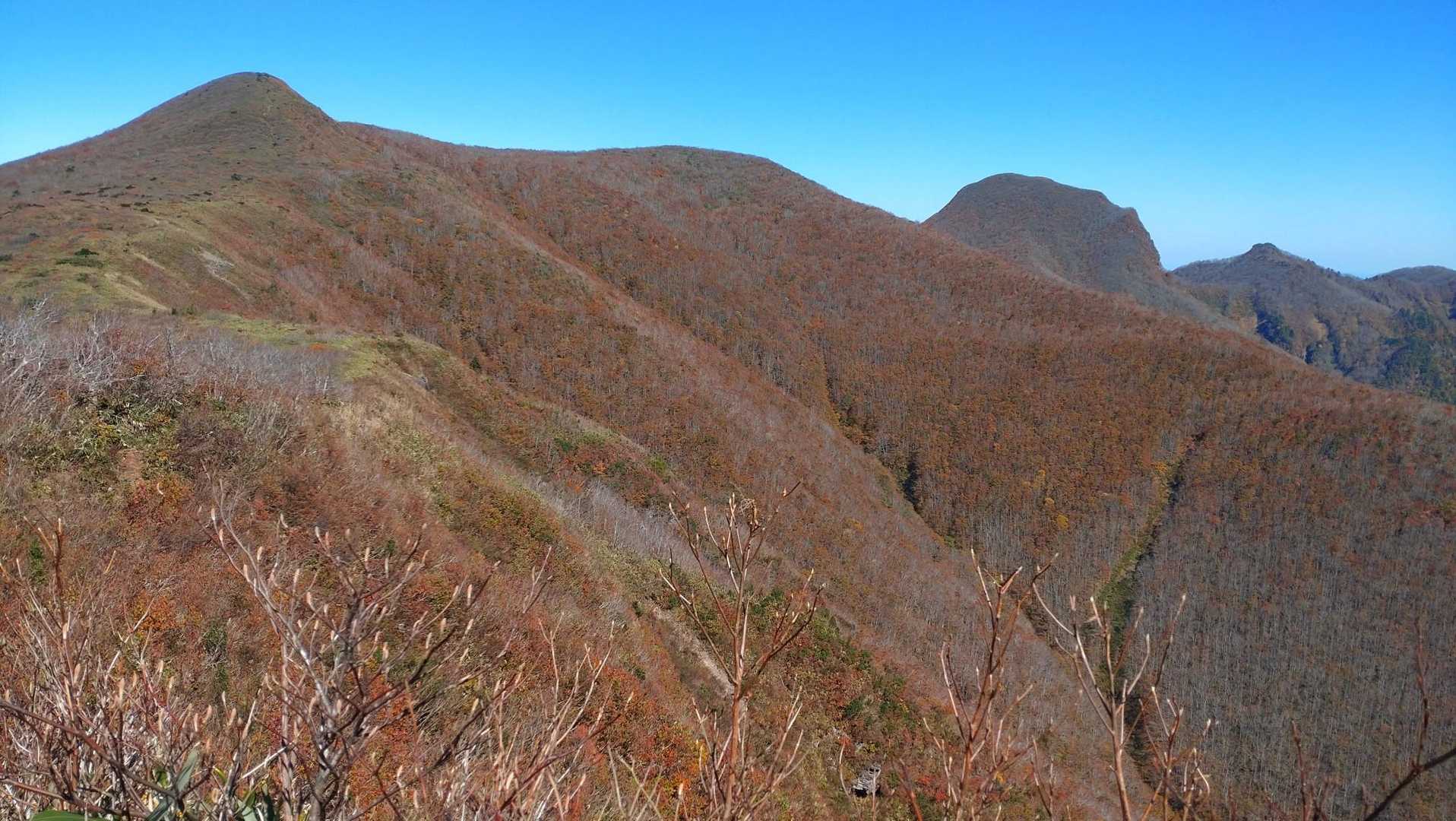 大関山-ハマグリ山-トンガリ山 往復コースの写真