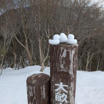 アップでどうぞ