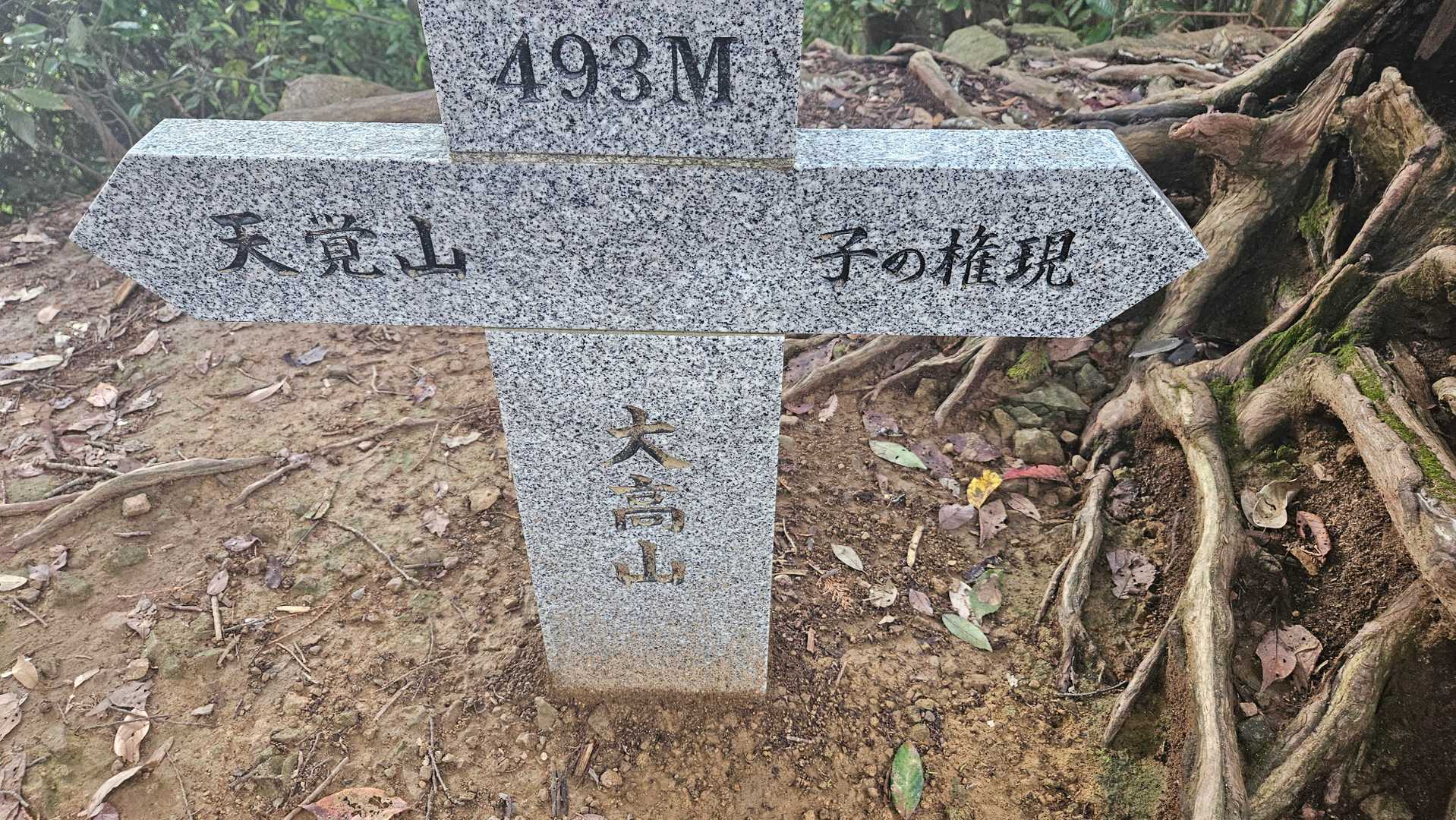 大高山山頂