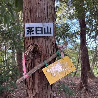 茶臼隈山登頂