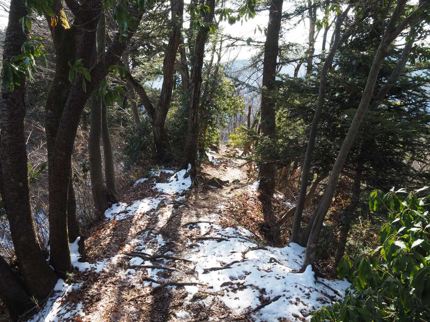 高取山-宮ヶ瀬越-仏果山 周回コースの写真