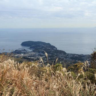 南郷山をちょっと下ったところから見えた真鶴半島