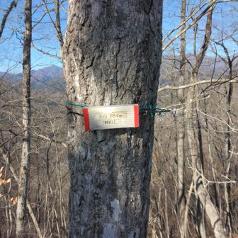 どっちでもよいけどどっちかにしたら？