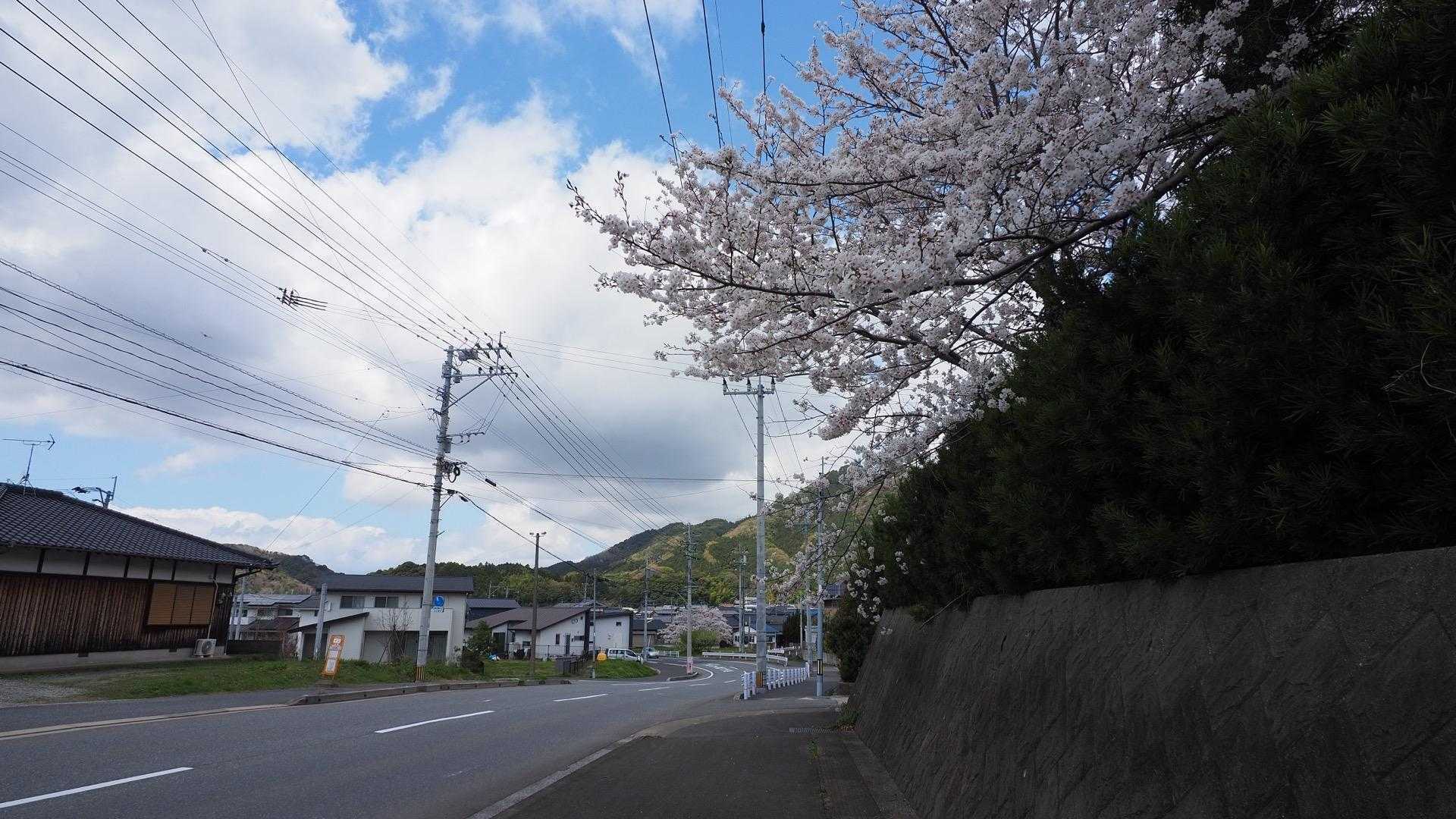 あとはてくてくロード歩き
