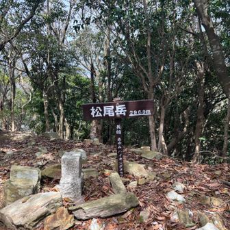 松尾岳山頂
眺望無し
この後は登り無しですが
長い降り😱
慎重に慎重に😐