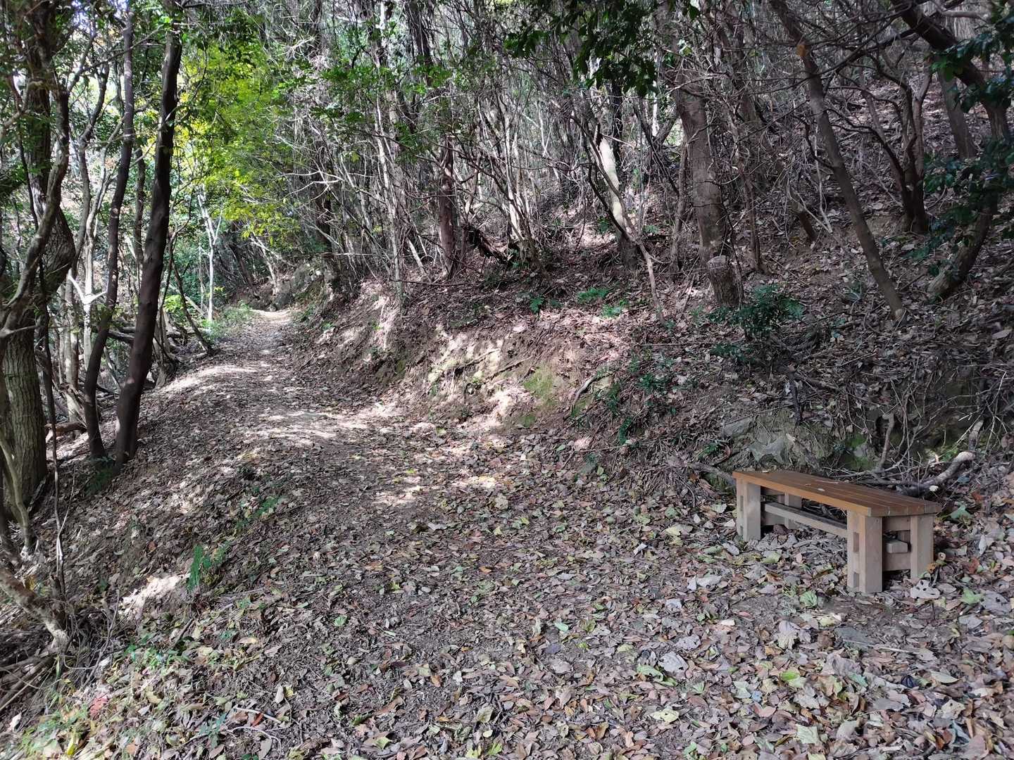 とおの山 往復コースの写真