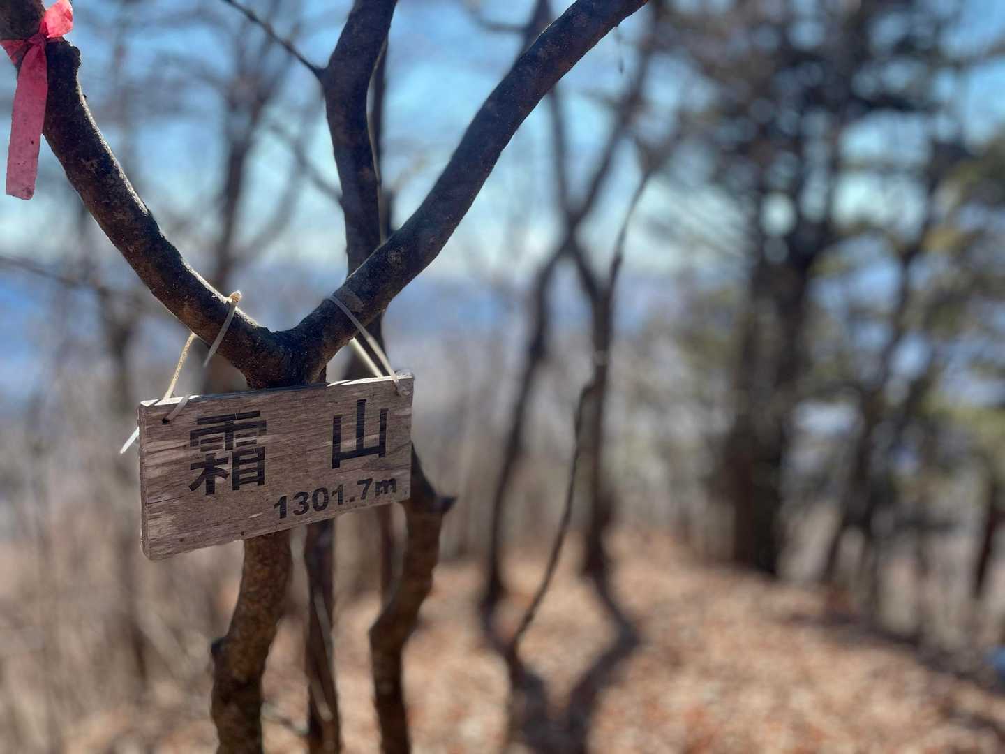 ちなみにここは霜山でした⛰️