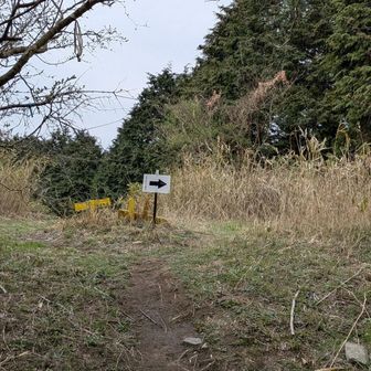 登り切りました。
きつい！
ここで昨年も写真を撮ってくださった方と再会しました。
私のことを覚えてくれてて、
宝満山縦走して登ってる子やねと😆
今年も参加してくれてありがとうと言われました。
こちらこそこんな素敵な大会を開催してくれたことに感謝です。
そして今年も写真を撮ってくださいました😊
ありがとうございます✨
YAMAPに載せるねと😊
探さねば！