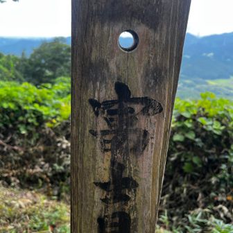 今日は☁️が多めだし、霞んでいるので
富士山🗻は見えなかったです🤣