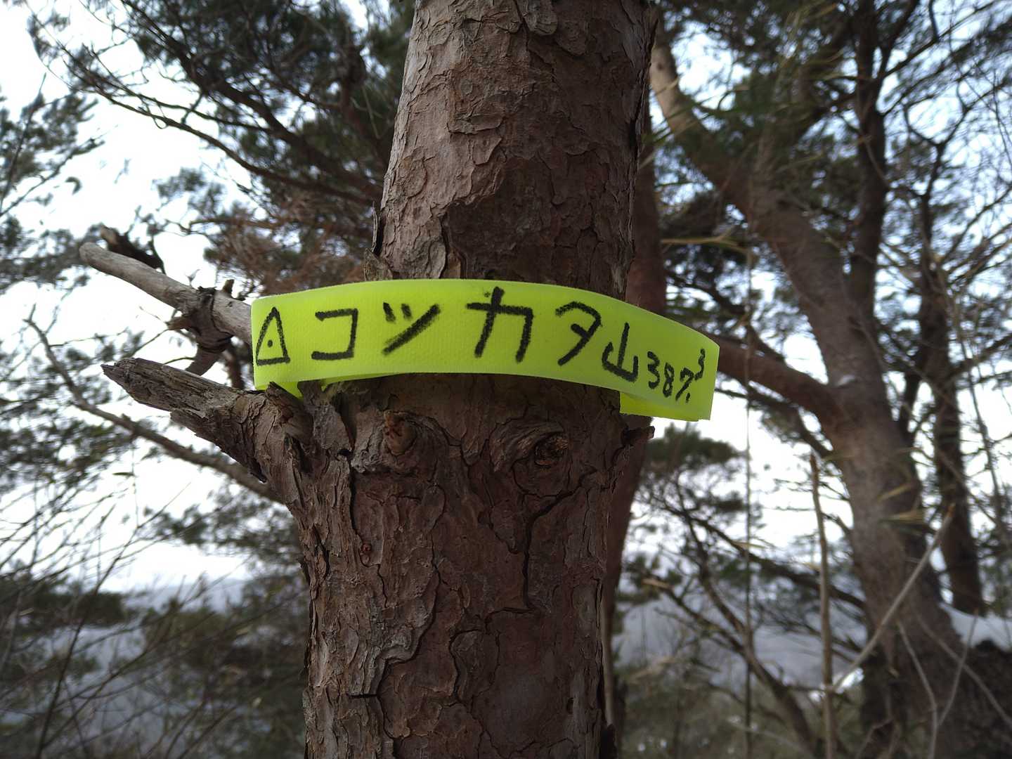 山頂表示を設置♪