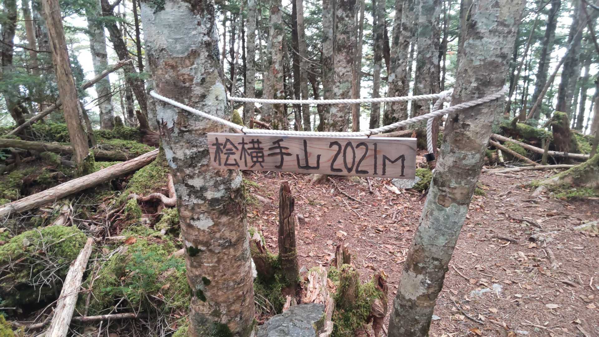 2021m！