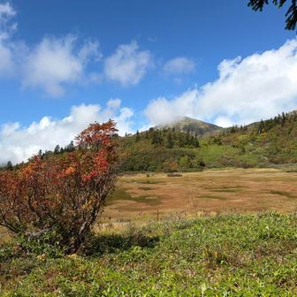 池塘の先の火打山のガスが晴れません😓