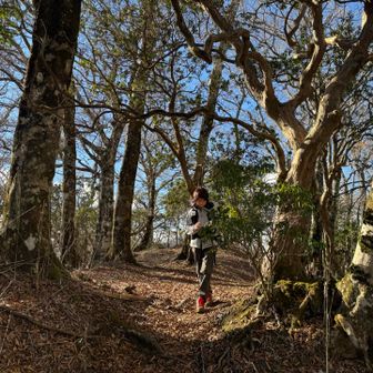 やっこちゃんも、こっち来て良かったねーって言ってくれて、良かった😌ホッ