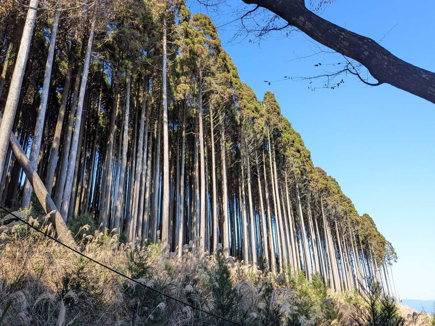 ここまで戻ってきました！
ここも📷️ポイントにしています☺️