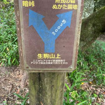 はい、最後のフィナーレ。

紫陽花をこの目で確かめに。

今回は、今日しかスケジュール的に難しい。。。

でも…