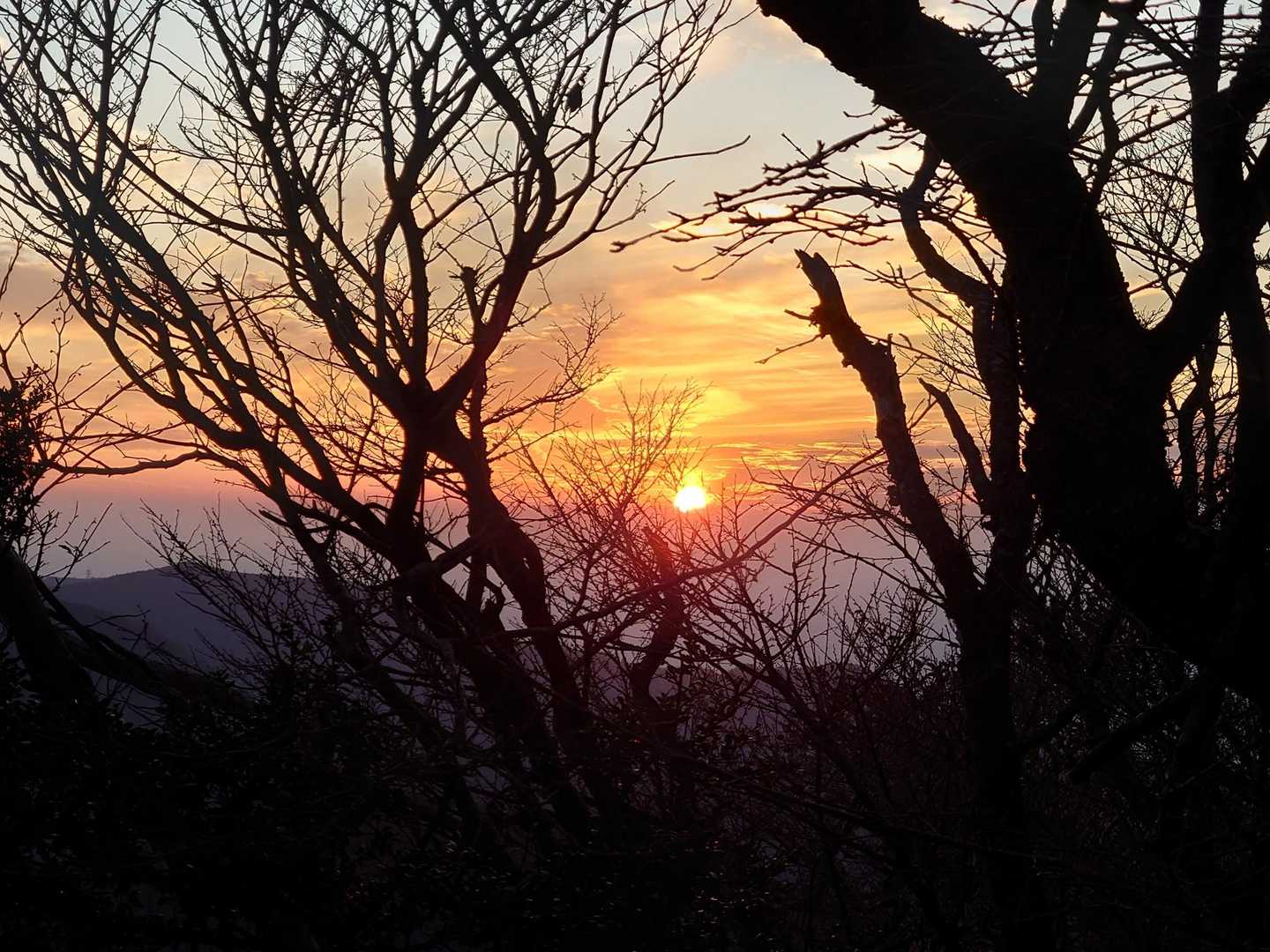 棚場山へ登っている途中で