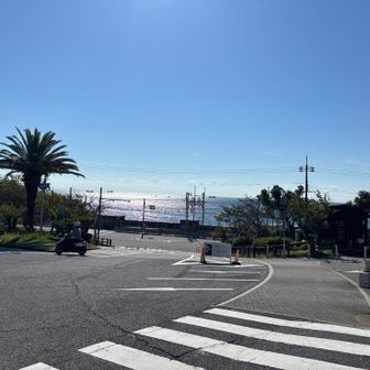 海が見える〜
